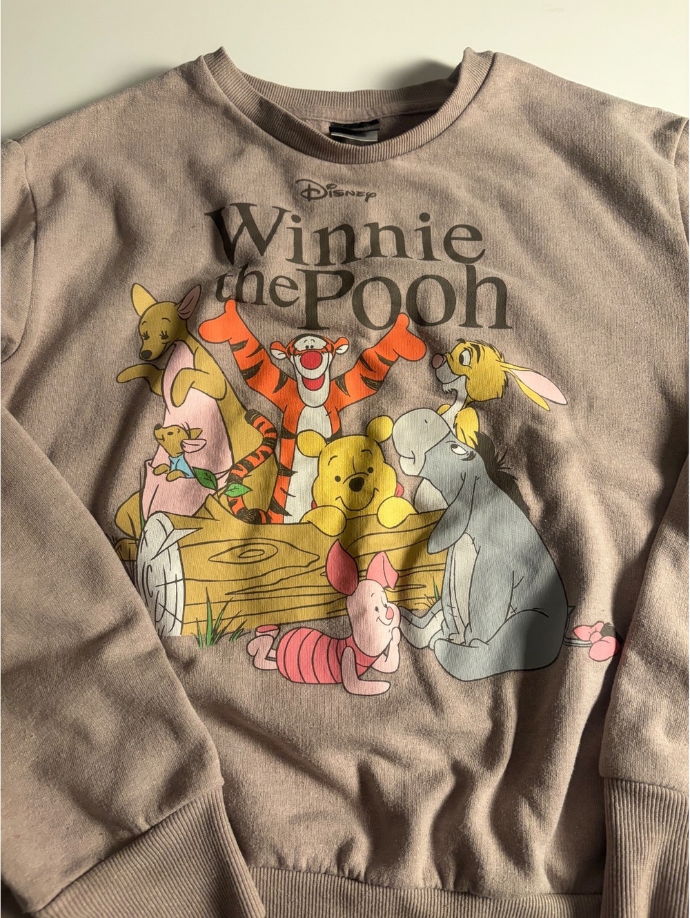Disney Winnie the Pooh Pullover Sweatshirt